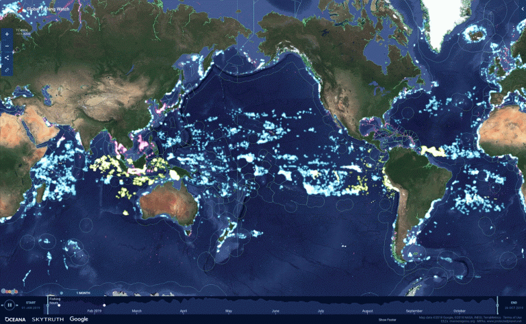 Global Fishing Watch app