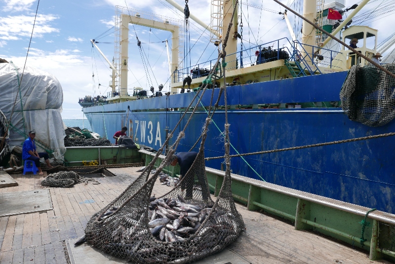 Transparency in International Fisheries