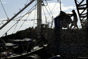Following Forced Labor in the World’s Fishing Fleets