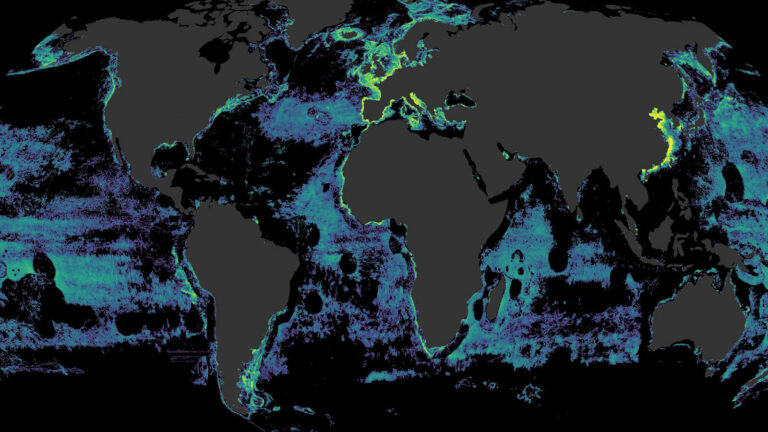 Vessel Tracking Data Reveals Global Footprint of Fishing Activity for the First Time