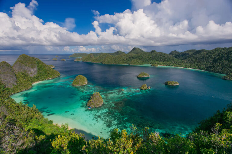 Papúa Nueva Guinea da un paso audaz para el Pacífico en la transparencia pesquera