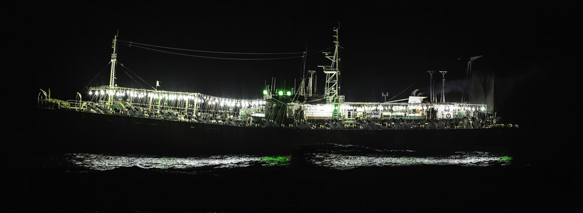 Distant water industrial vessels target jumbo squid in the Southeast Pacific Ocean